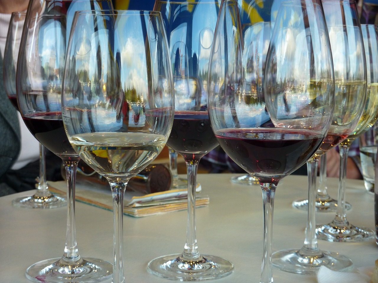 A Guide to the Best Wine Regions in the Southern Hemisphere